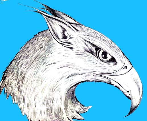 griffin